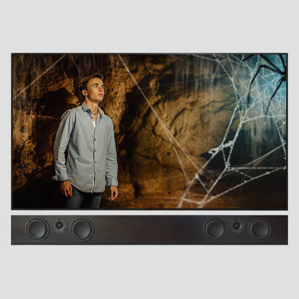 Tribe Duo in Satin Black under a wall-mounted screen: two woofers either side of each tweeter, two full channels in one bar